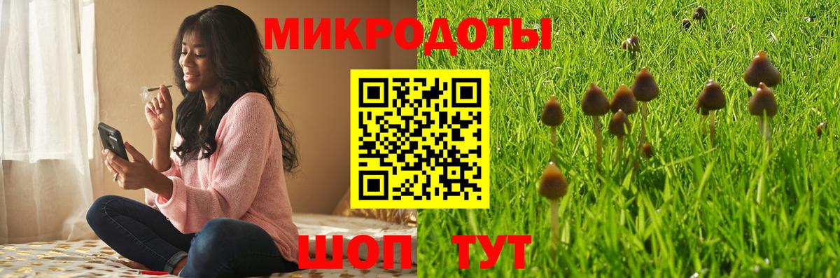 Родники  Псилоцибиновые грибы Psilocybe  как найти   Вход с VPN 