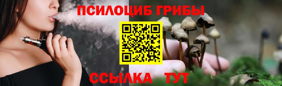 Галлюциногенные грибы прущие грибы Родники